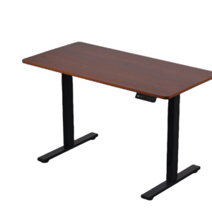 Rae Elevate Pro Dual Motor sit stand Desk