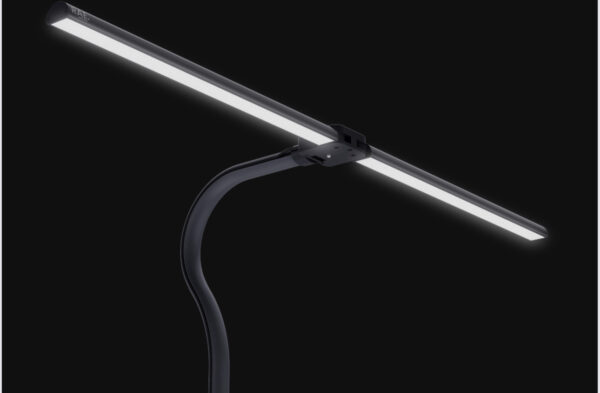 2 head desk lamp